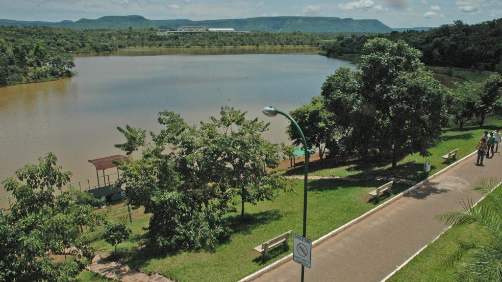 Laudo descarta morte por febre amarela em corpo de macaco encontrado no Parque Cesamar